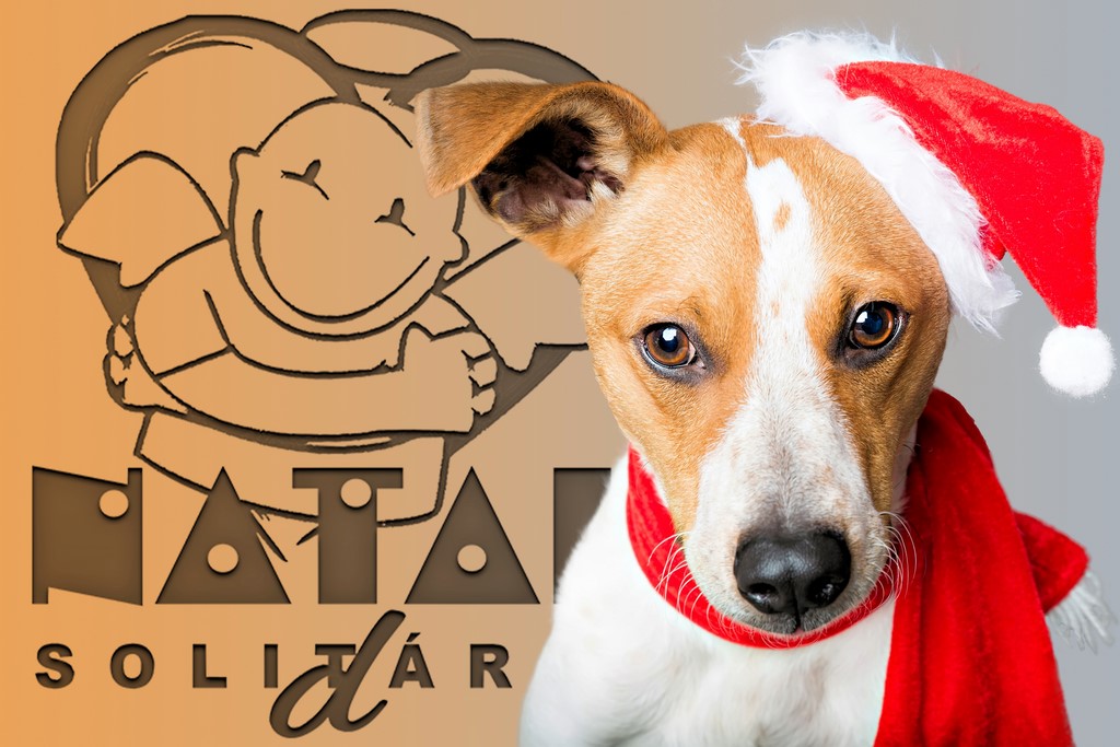 Cão Noel