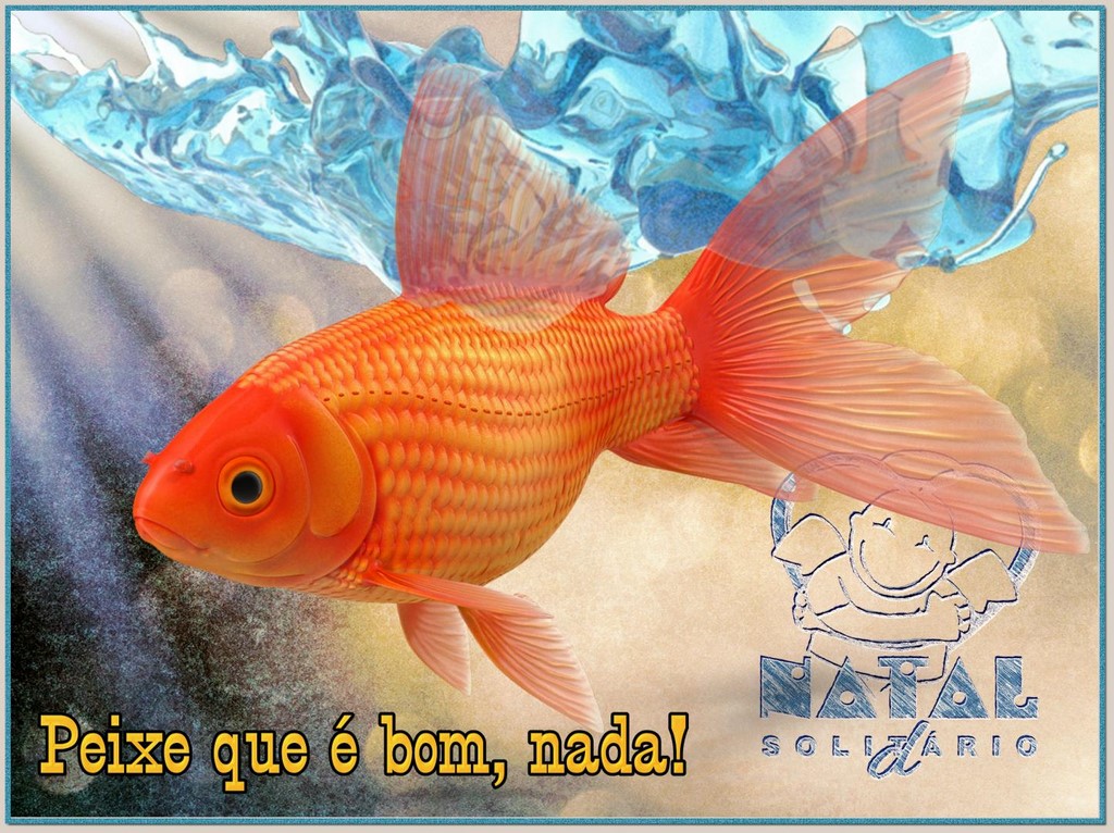 Peixe que é bom